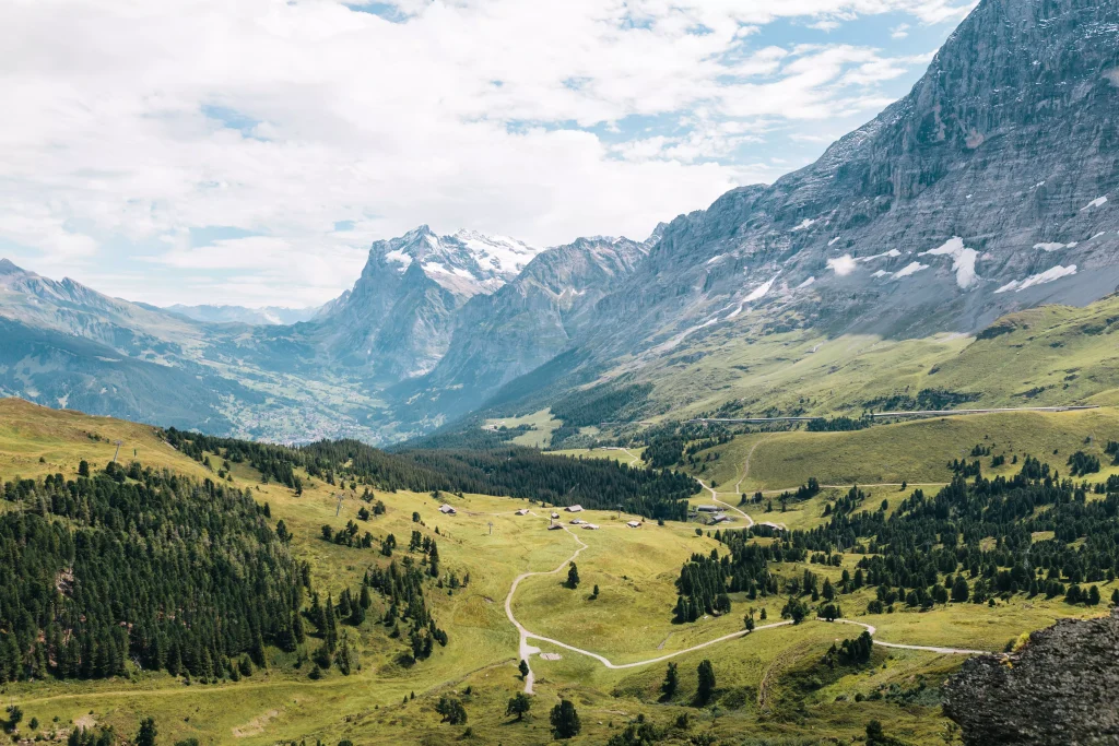 green fields between mountains with snow