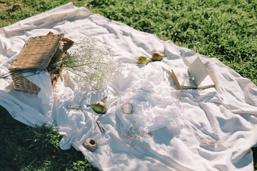 a white blanket on grass