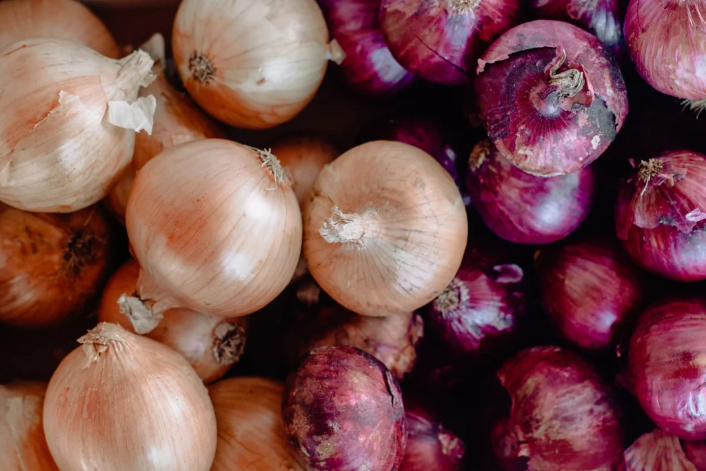 white and purple onions next to each other