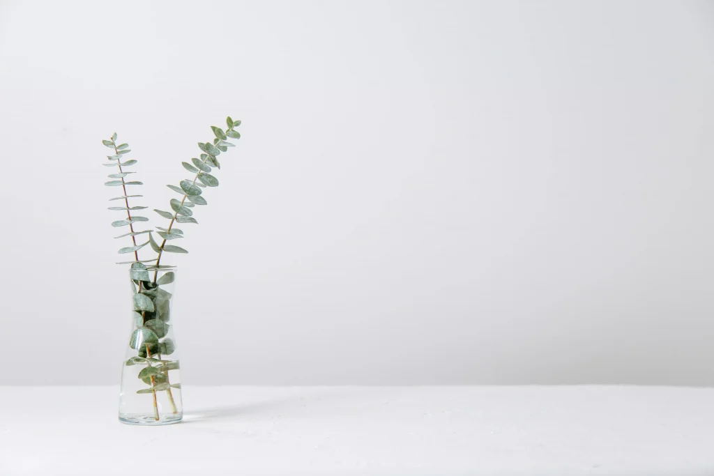 a green plant in a glass of water