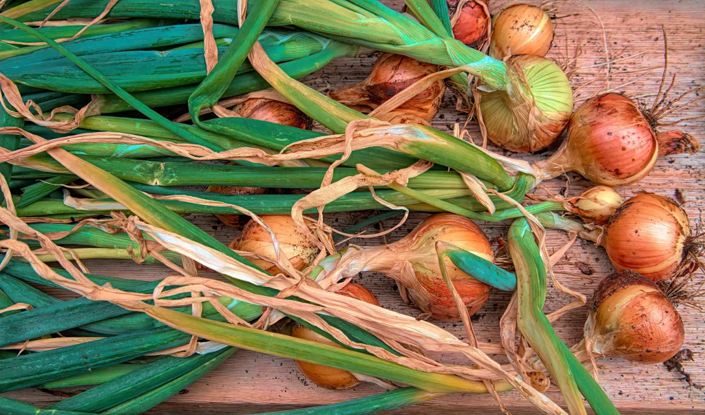 green onions on a table