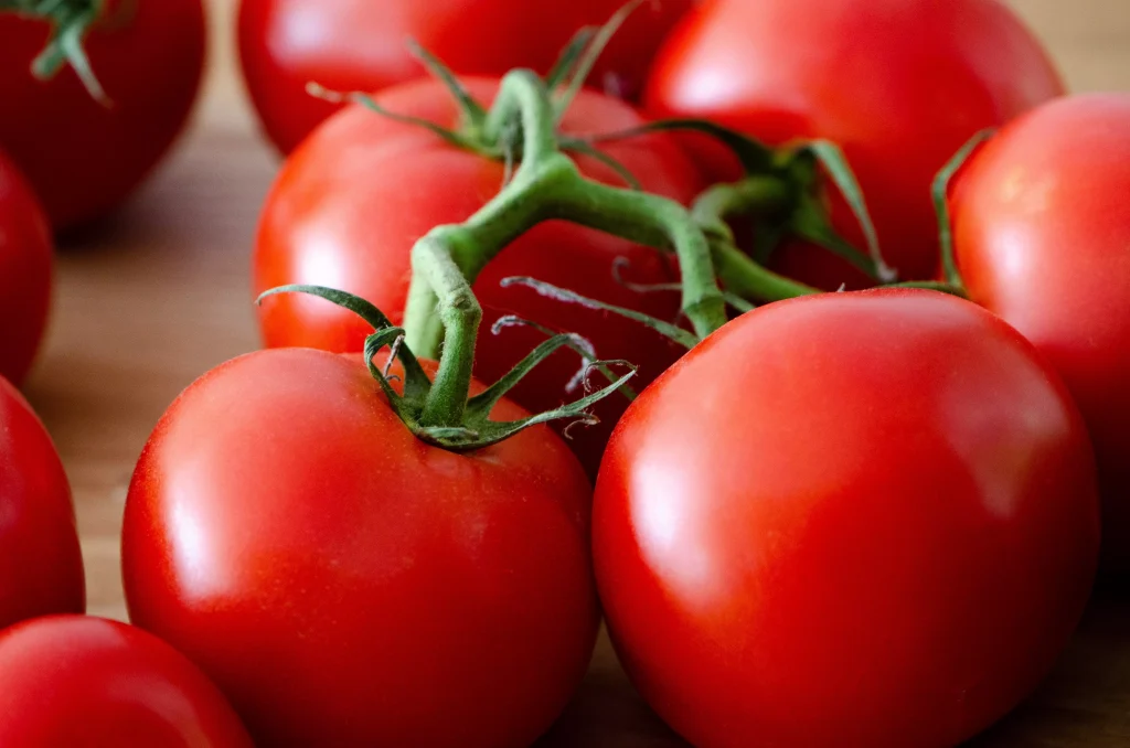 closeup picture of tomatoes