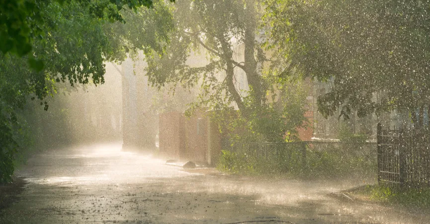 raining on a sunny day