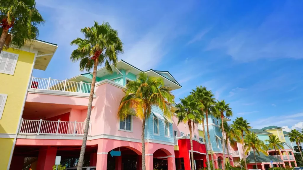 small vacation homes behind palm trees photographed from the frog perspective