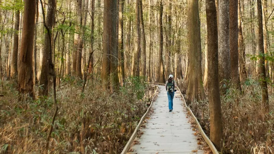 a women walking in a forest