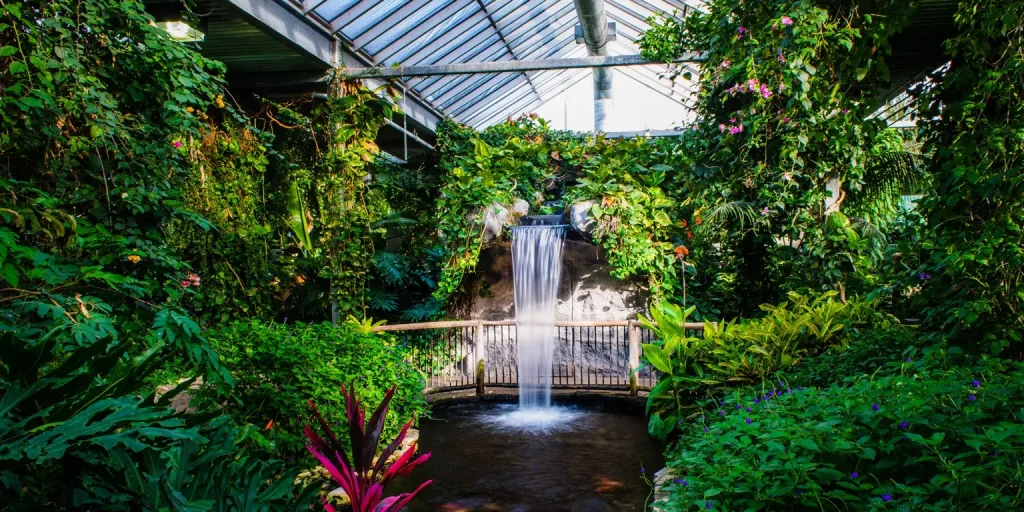 green plants and a small waterfall in the middle