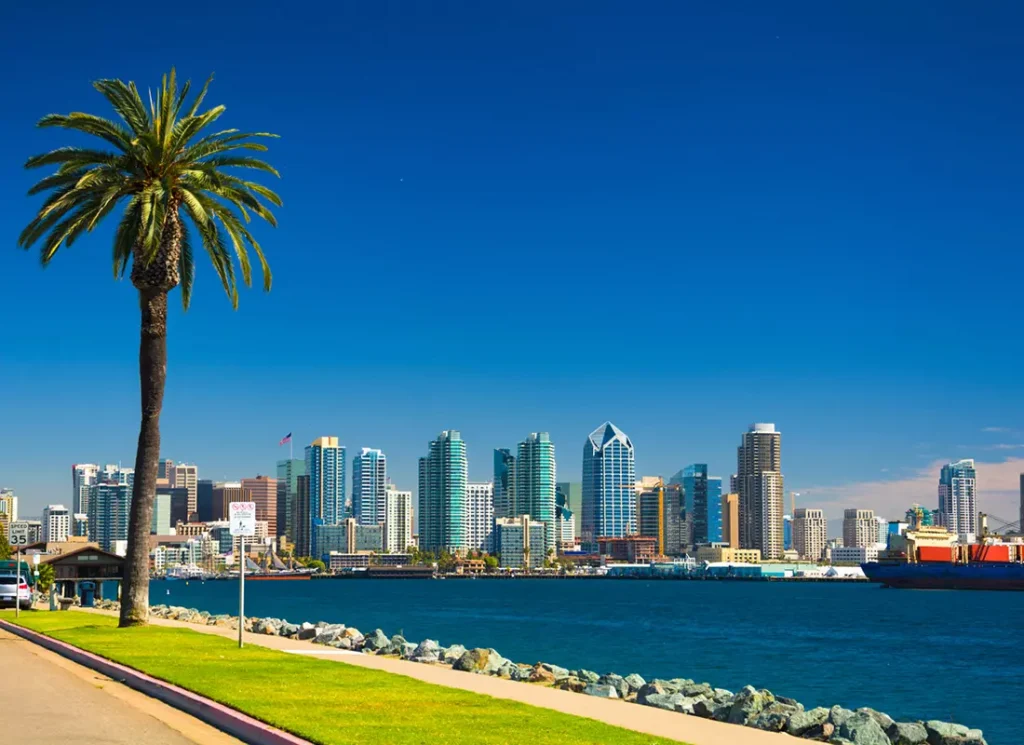 city near a sea photographed from behind a palm tree