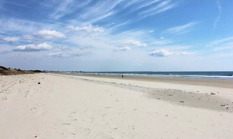 sand beach photographed in daylight