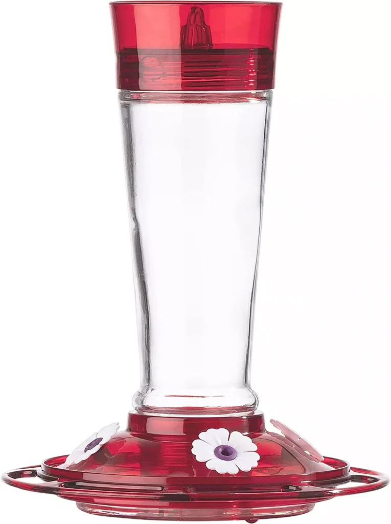 a red glass blender for fruits