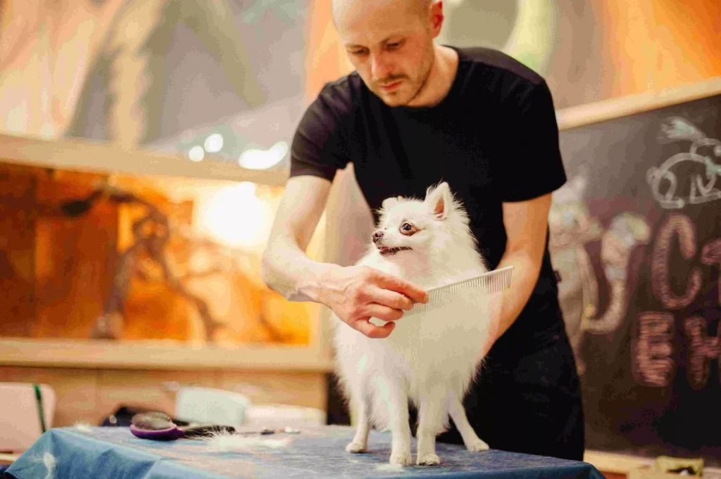 a man giving a haircut to a small cute dog