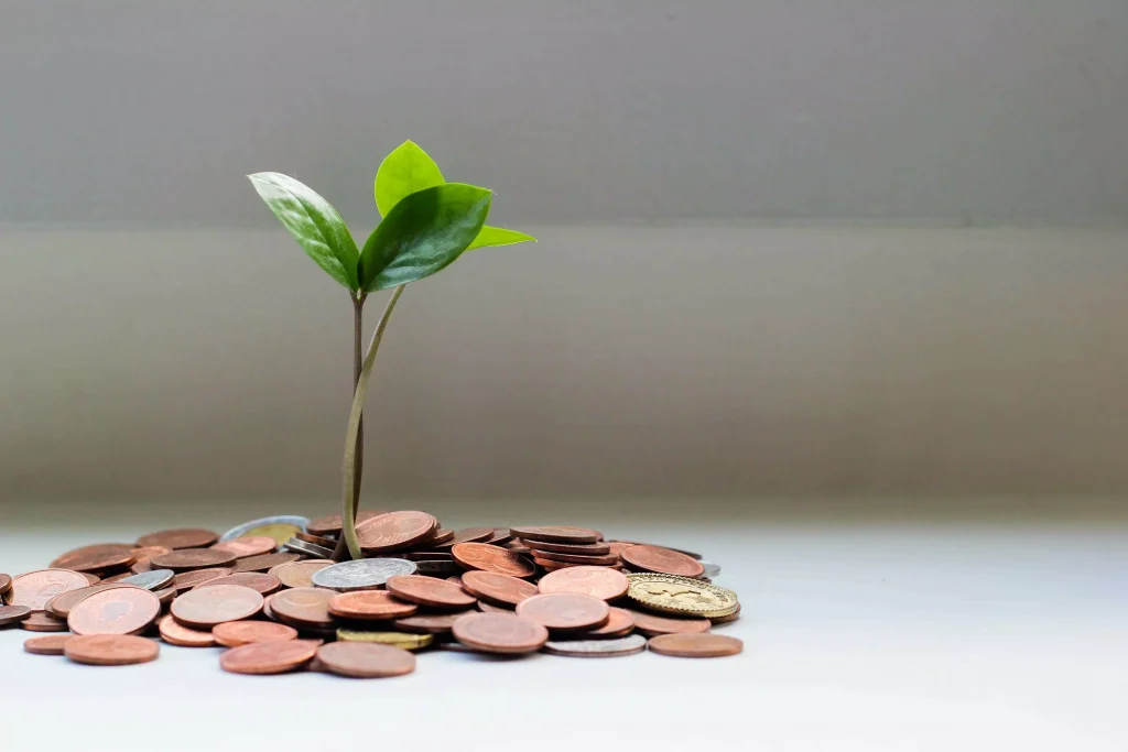 a green leaf next to some coins