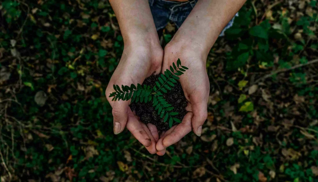 a person holding a leaf 